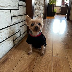 Meet your Posher, Vic